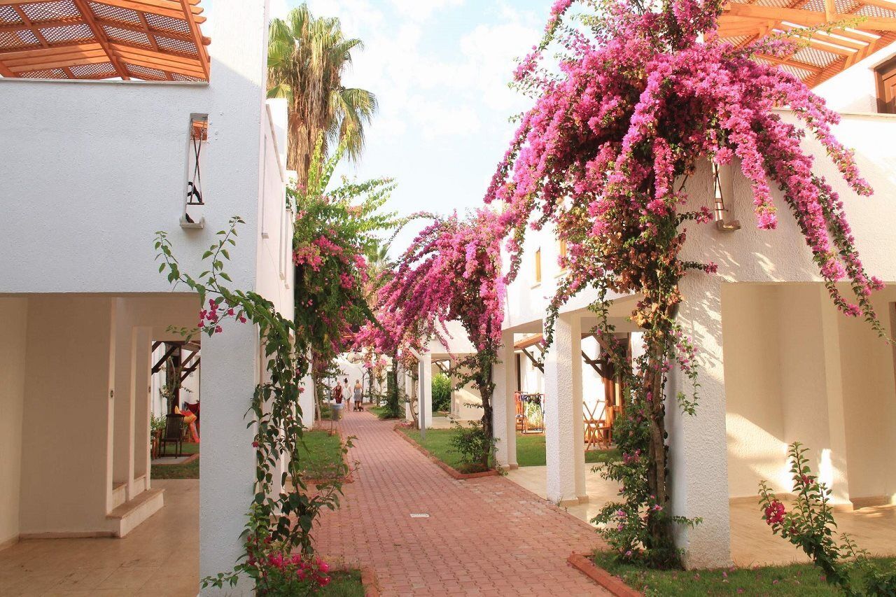 Club Kastalia Holiday Village Konaklı エクステリア 写真